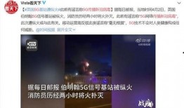 老外爆料病毒视频大全,老外爆料病毒视频大盘点